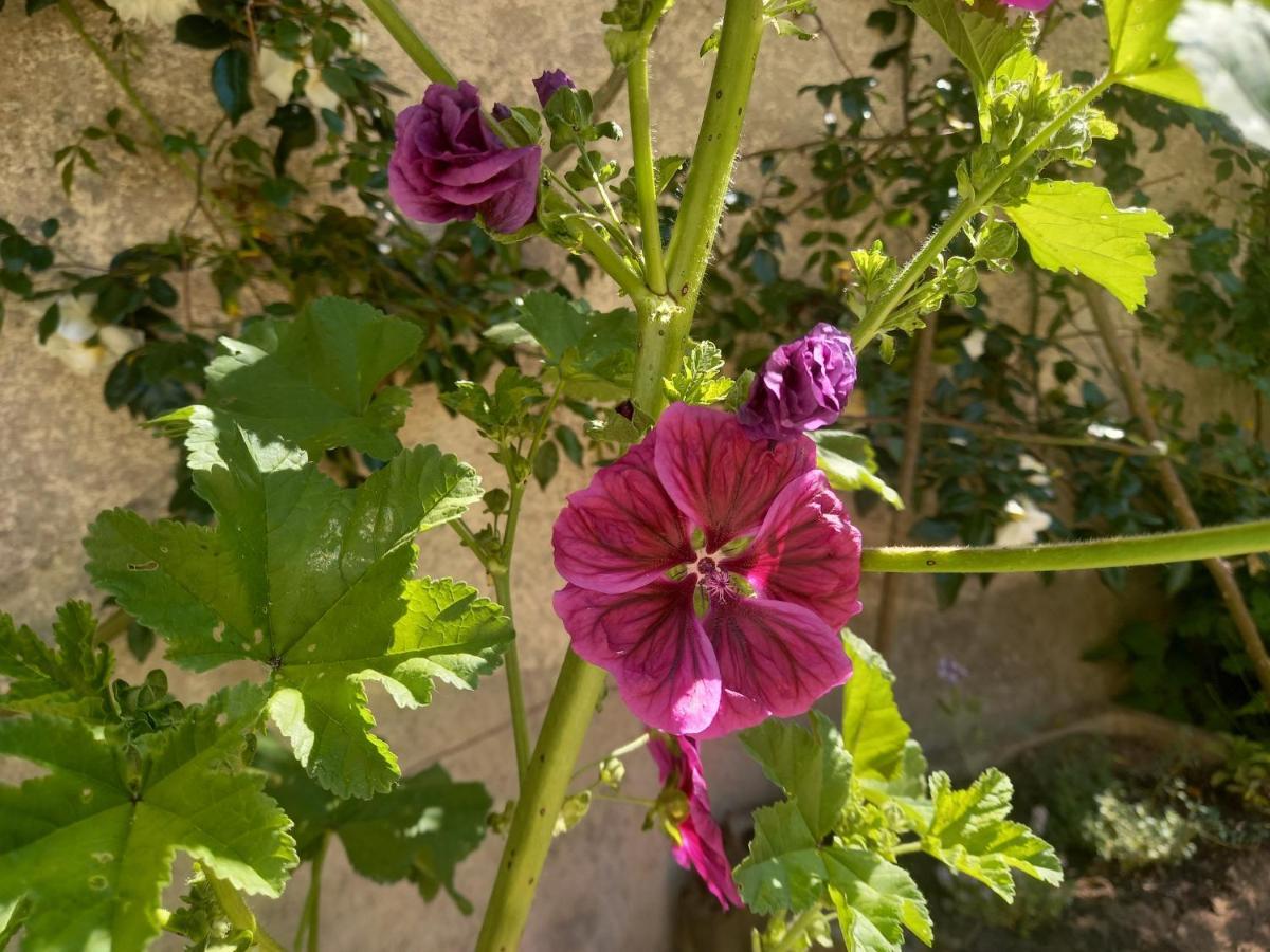 Maison Violette En Berry Aigurande ภายนอก รูปภาพ